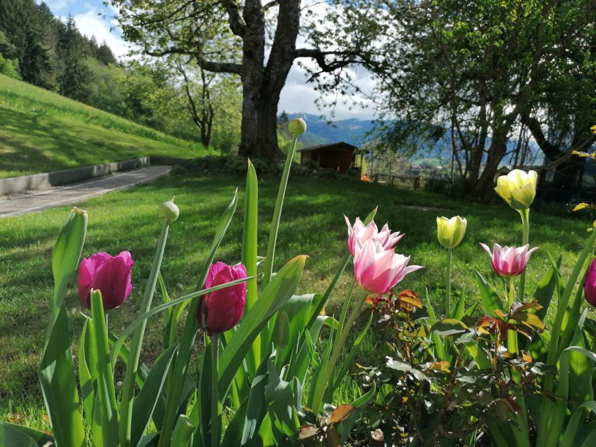 Hoerandlhof Aigen im Ennstal Zewnętrze zdjęcie